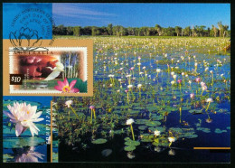 Mk Australia Maximum Card 1997 MiNr 1633 Y | Fauna And Flora. Kakadu Wetlands. Great Egret #max-0029 - Maximumkarten (MC)