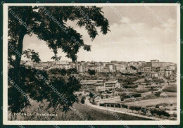 Potenza Città Stadio Campo Sportivo Foto FG Cartolina ZK3463 - Potenza