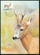 Mk Sweden Maximum Card 1992 MiNr 1700 D | Wildlife, Roe Buck #max-0032 - Maximumkarten (MC)