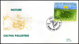 2572 - FDC - Natuur - Planten  #2  P1111 - 1991-2000