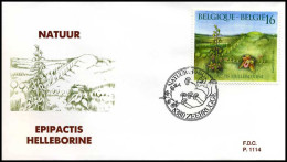 2575 - FDC - Natuur - Planten  #7  P1114 - 1991-2000