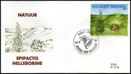 2575 - FDC - Natuur - Planten  #8  P1114 - 1991-2000