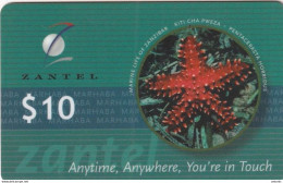 ZANZIBAR - Botanics Of Zanzibar, ZANTEL Prepaid Card $10, Used - Other - Africa