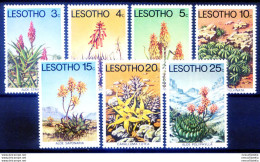 Flora. Piante Grasse 1977. - Lesotho (1966-...)