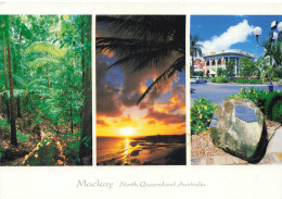 CPSM Mackay-Beau Timbre       L2854 - Mackay / Whitsundays
