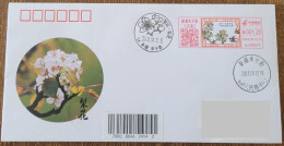 China Cover "Pear City, Pear Blossoms" (Korla, Xinjiang) Colored Postage Machine Stamp First Day Actual Mail Seal - Omslagen