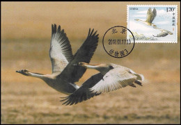 China Maximum Card 2018-22 Wild Goose,1 Pcs - Cartes-maximum