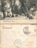 Ansichtskarte Dallgow-Döberitz Dorfpartie 1905  - Dallgow-Döberitz