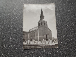 MEERHOUT: St. Trudokerk - Meerhout