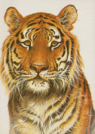 TIGRE Animaux Vintage Carte Postale CPSM #PBS044.FR - Tigres