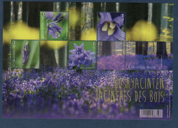 Belgique, België, **, Yv F 4642, Mi BL 210, Jacinthes Des Bois, Fleur, - 2002-… (€)