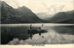 Am Sarnersee - Sarnen