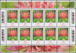 3656 Blume Rotklee 37 Cent - Zehnerbogen ** Postfrisch - 2001-2010