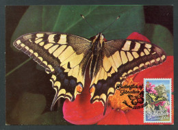 GIBRALTAR (2023) Carte Maximum Card - Butterflies, Papillon, Swallowtail, Papilio Machaon, Schwalbenschwanz, Porte-queue - Gibraltar