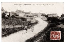 89 ST SAINT BRIS LE VINEUX Vue Prise De La Route De Champs - Edit Nordmann - 1909 - Attelage Carriole - Saint Bris Le Vineux