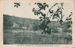 *** 78  ***   Vallée De Chevreuse St Remy Les Chevreuse    Neuve TB   - St.-Rémy-lès-Chevreuse