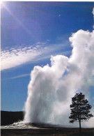 OLD FAITHFUL GEYSER, YELLOWSTONE, WYOMING, UNITED STATES. UNUSED  POSTCARD Mm1 - Yellowstone