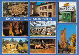 46-MONTCUQ-N°4164-B/0309 - Montcuq