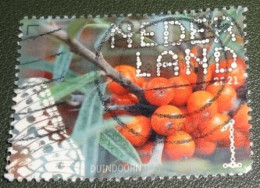 Nederland - NVPH - Xxxx - 2021 - Gebruikt - Beleef De Natuur - Duindoorn - Rechtsonder Mist Tandje - Used Stamps