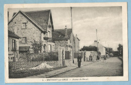 A135   CPA BRETIGNY-sur-ORGE (Seine Et Oise)  Avenue Du Mesnil  ++++++++ - Bretigny Sur Orge