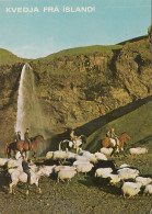 Iceland - Seljalandsfoss Waterfall - Iceland