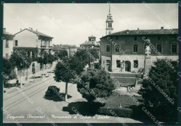 Piacenza Carpaneto Auto Foto FG Cartolina ZK3378 - Piacenza