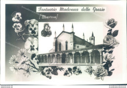 P101 Cartolina Mantova Citta'  Santuario Madonna Delle Grazie - Mantova