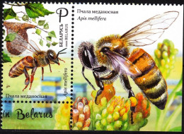 BELARUS 2020-17 FAUNA Insects: Honeybee. Beekeeping In Belarus. LABELED Pair, MNH - Honeybees