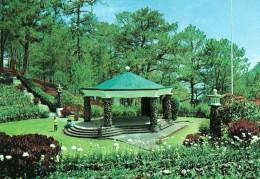1 AK Philippinen * Amphitheather Camp John Hay In Baguio City - Ein Pavillon Mit Einem Blumengarten Und Terrassen * - Philippines