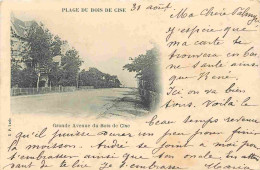 80 - Bois De Cise - Grande Avenue - Précurseur - CPA - Oblitération Ronde De 1905 - Voir Scans Recto-Verso - Bois-de-Cise