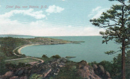 Shoal Bay Near Victoria BC Canada, C1910s Vintage Postcard - Victoria