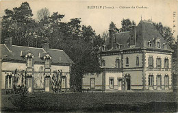 89* BLENEAU    Chateau De  Coudray      MA82_0610 - Bleneau