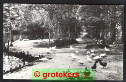 OOTMARSUM Grote Bron Op Springendal 1975 - Ootmarsum