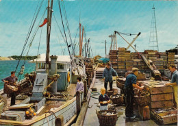 AUSTRALIA - Lakes Entrance - Typical Lakes Entrance Trawler Scene - Gippsland