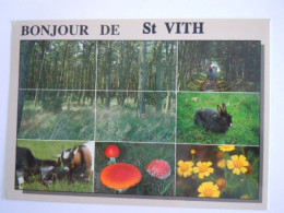 Bonjour De St Vith Multi-vues Forêt - Lièvre - Chèvre Champignons Fleurs Circulée 1995 (701) - Saint-Vith - Sankt Vith