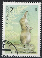 Sowjetunion UdSSR - Buchara-Spitzmaus (Sorex Bucharensis) (MiNr. 5537) 1985 - Gest Used Obl - Usati