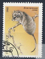 Sowjetunion UdSSR - Buchara-Spitzmaus (Sorex Bucharensis) (MiNr. 5539) 1985 - Gest Used Obl - Oblitérés