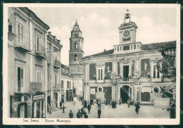 Foggia San Severo Municipio FG Cartolina ZK5964 - Foggia