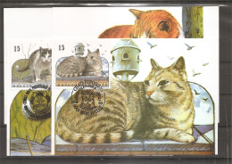 Belgique - Chats ( 4 CM De 1993 à Voir) - 1991-2000