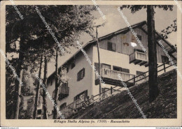 Bl691 Cartolina Rifugio Stella Alpina Ravascletto Provincia Di Udine Friuli - Udine