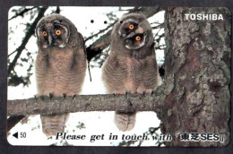 Japan 1V Owls Toshiba Used Card - Hiboux & Chouettes