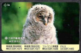 Japan 1V Owl Mitsui Fudosan Realty Co. Ltd. Advertising Used Card - Hiboux & Chouettes