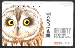 Japan 1V Owl Security Co. Advertising Used Card - Hiboux & Chouettes