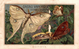 CHROMO CACAO VAN HOUTEN PAPILLONS BOMBYX - Van Houten