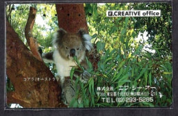 Japan 1V Koala F. Creative Office Advertising Used Card - Oerwoud