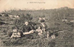 METIERS - Bergères D'aujourd'hui - Animé - Carte Postale Ancienne - Paysans