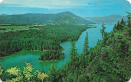 ETATS-UNIS - From Viewpoint On Nature Trail Of Farragut State Park - Shown Is Buttonhook Bay - Carte Postale Ancienne - Otros & Sin Clasificación