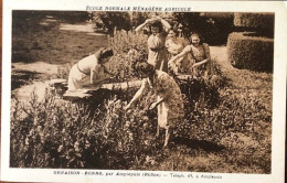 Ornaison Ronno Par Amplepuis  Ecole  Normale Ménagère Agricole - Amplepuis