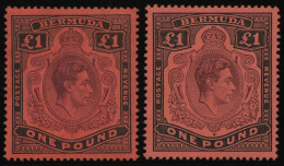 BERMUDA-INSELN 116b , 1943, 1 £ Schwarz/braunpurpur, Gezähnt 14, (SG 121b Und E), Falzrest, 2 Prachtwerte - Bermudes