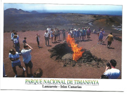 PARQUE NACIONAL DE TIMANFAYA.- MONTAÑA DE FUEGO - ISLA DE LANZAROTE / ISLAS CANARIAS.- ( ESPAÑA ). - Lanzarote